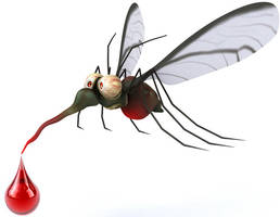 Possible Epidemic? The Chikungunya Virus Is Starting To Spread In America